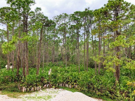 Calusa Nature Center and Planetarium